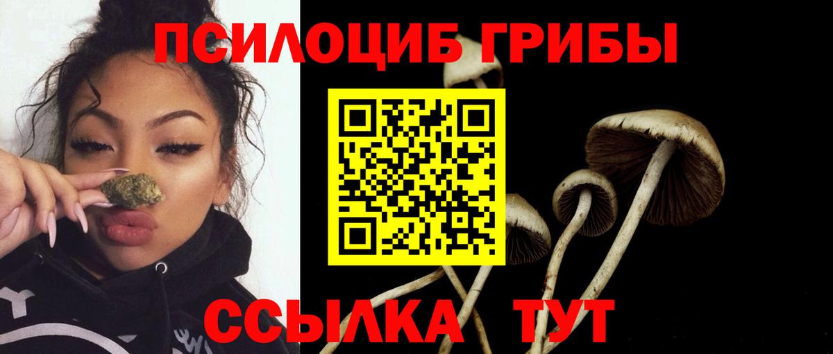Галлюциногенные грибы MAGIC MUSHROOMS Мценск